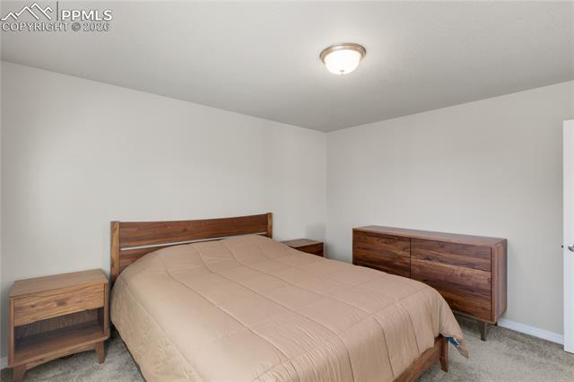 7408 Rufous Fronted View