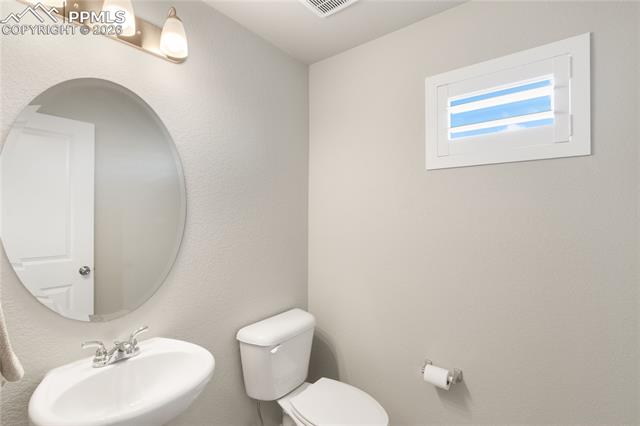 7408 Rufous Fronted View