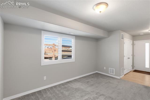 7408 Rufous Fronted View