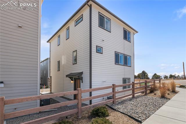 7408 Rufous Fronted View