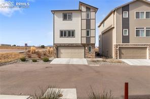 7408 Rufous Fronted View