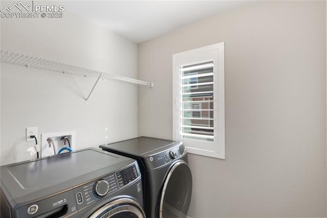 7408 Rufous Fronted View