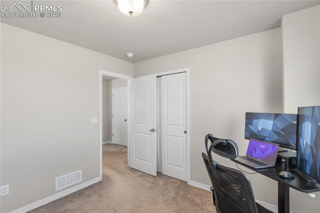 7408 Rufous Fronted View