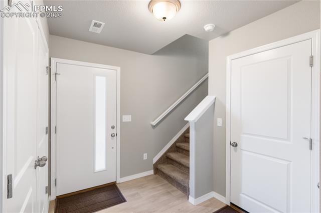 7408 Rufous Fronted View