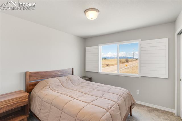 7408 Rufous Fronted View