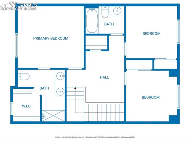 7408 Rufous Fronted View