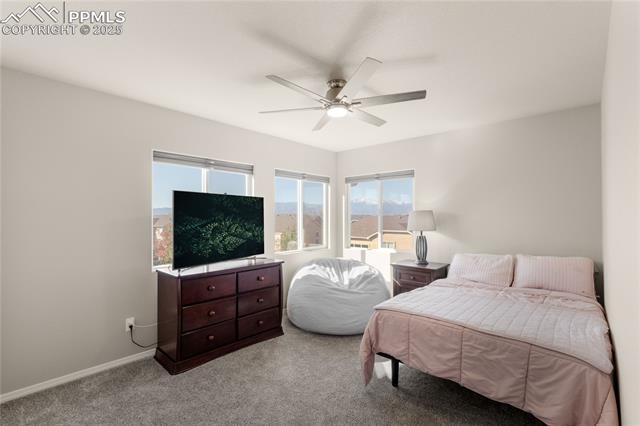 6396 Tenderfoot Drive