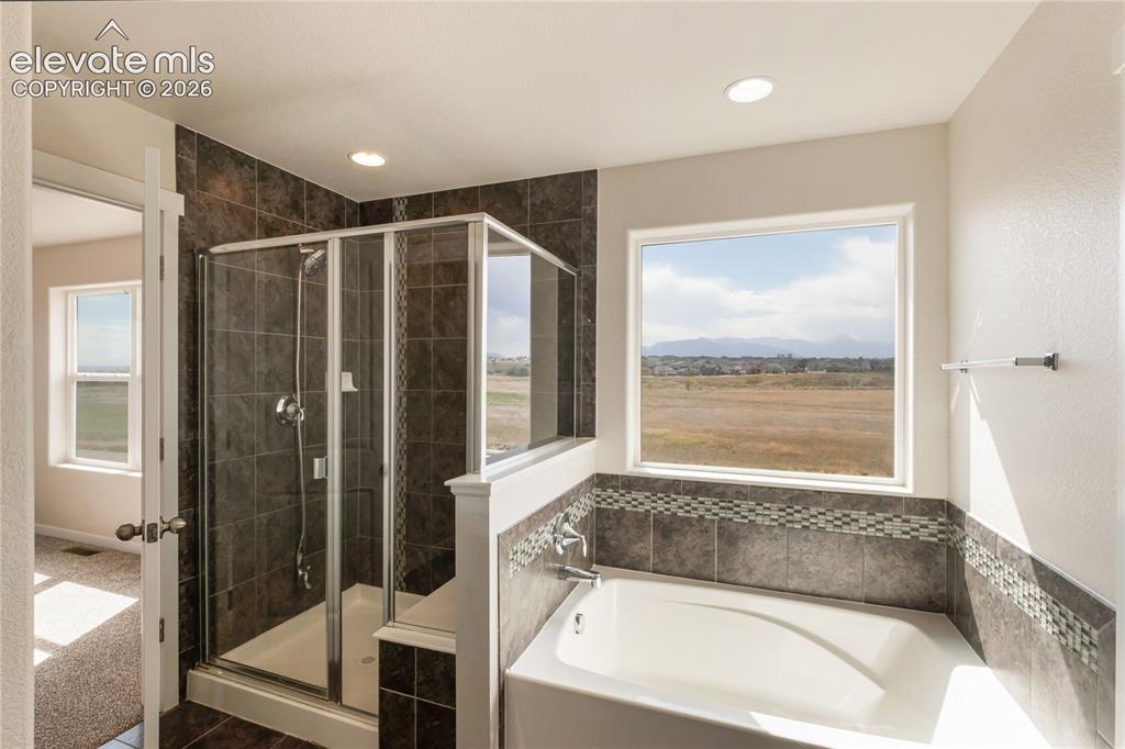 7352 Bigtooth Maple Drive