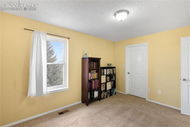 8702 Alpine Valley Drive