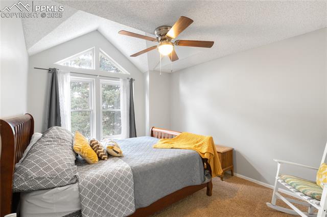 8702 Alpine Valley Drive