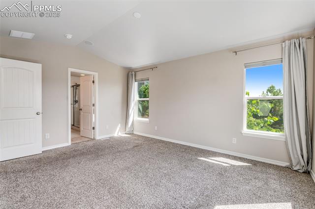 10120 Coyote Gulch Court