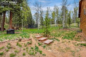 126 Pinewood Circle