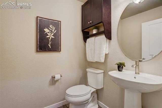 10717 Autumn Gold View