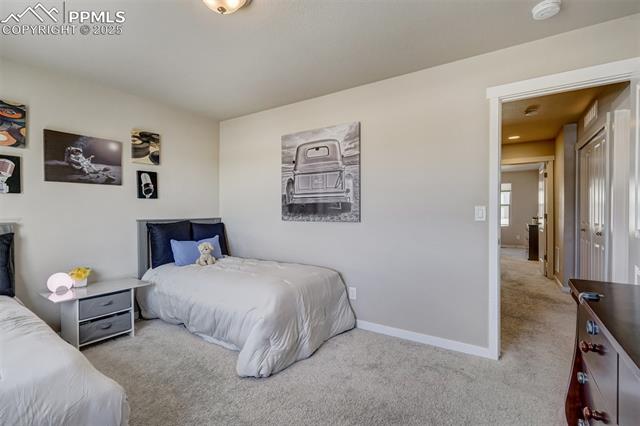 10717 Autumn Gold View