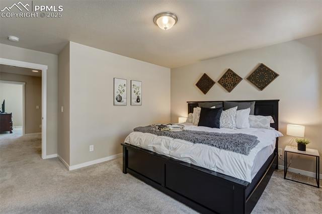 10717 Autumn Gold View