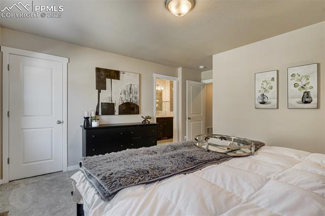 10717 Autumn Gold View