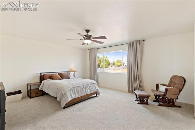 2245 Reed Grass Way