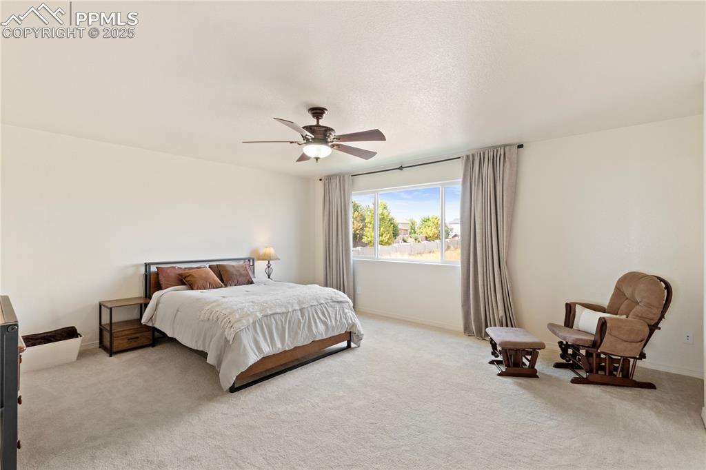 2245 Reed Grass Way