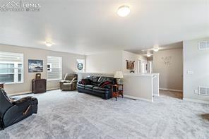 4445 Kaolin Court