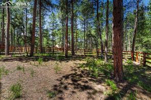 1250 Cottontail Trail