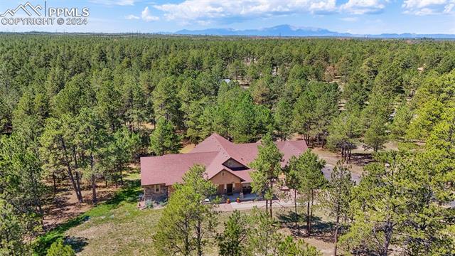 15664 Pole Pine Point