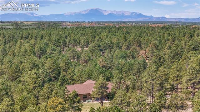 15664 Pole Pine Point