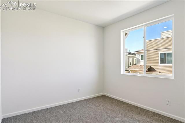 2492 Serviceberry Grove