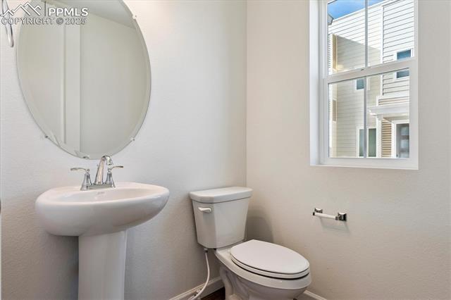 2492 Serviceberry Grove