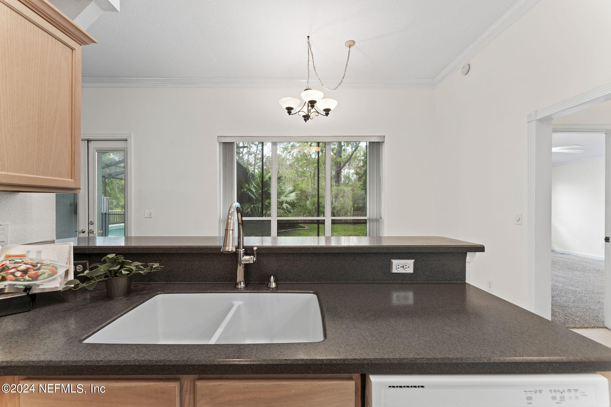 609 PINELAND Lane