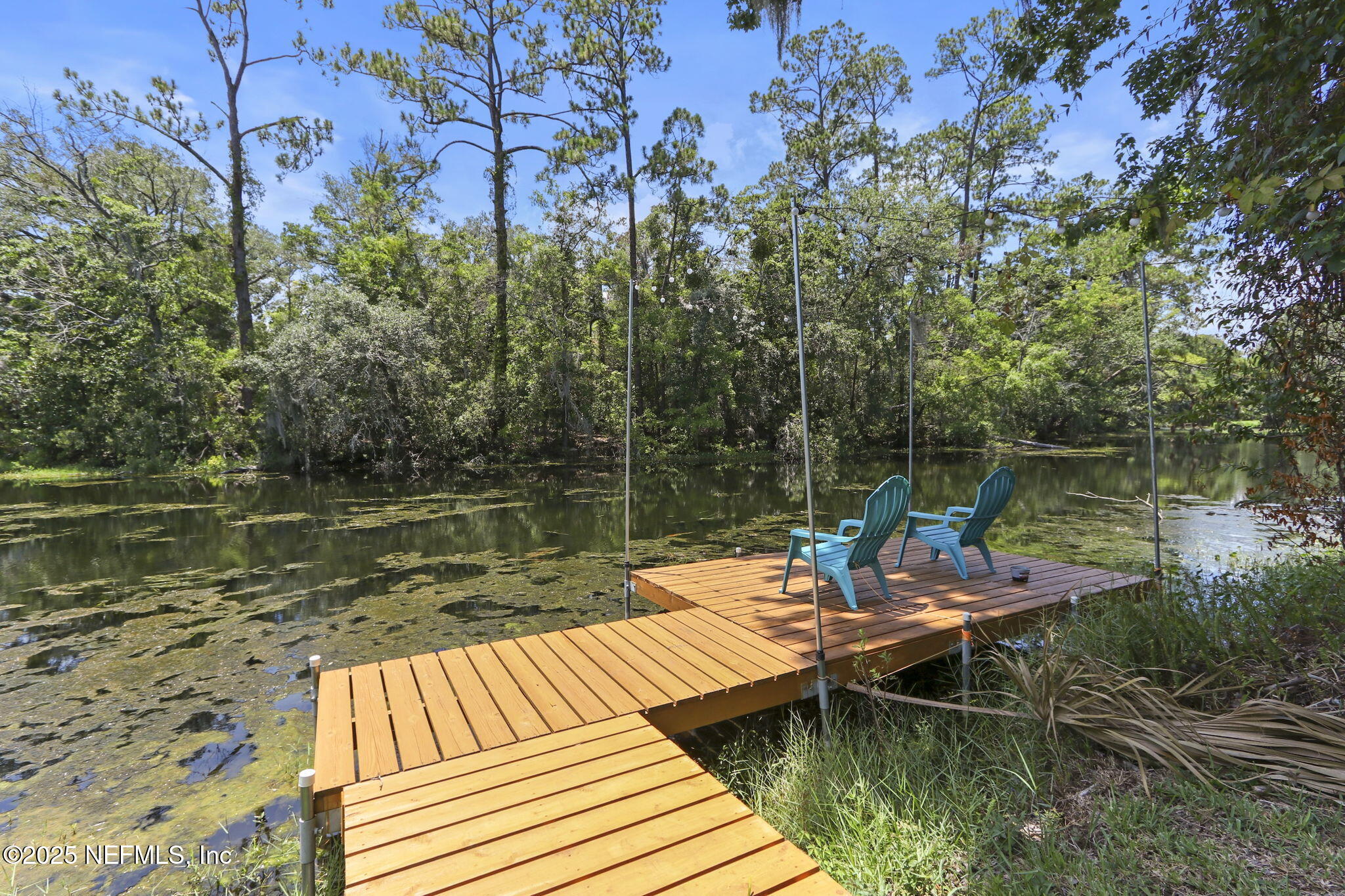 4218 KINGS Court