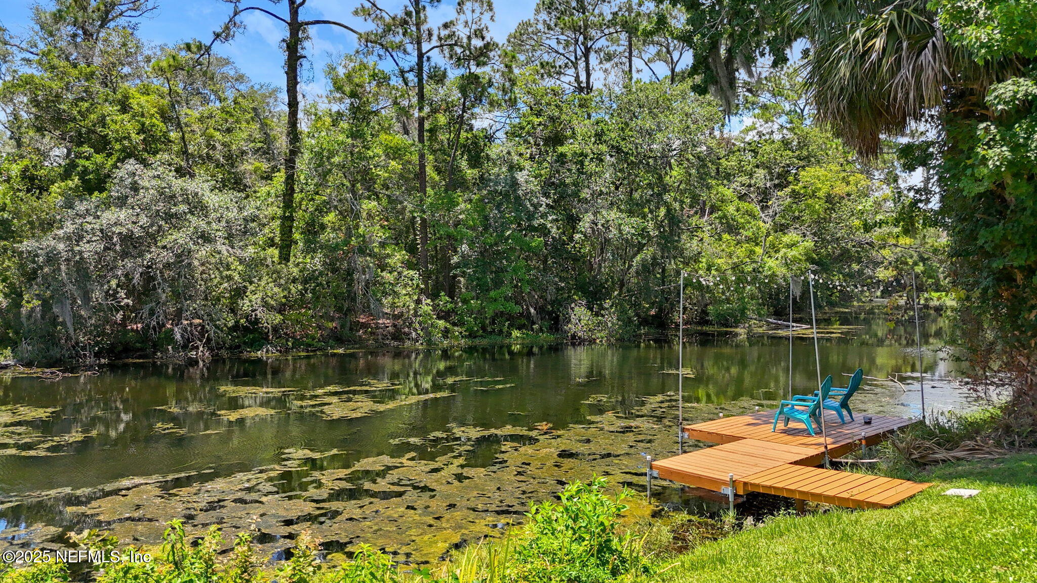 4218 KINGS Court