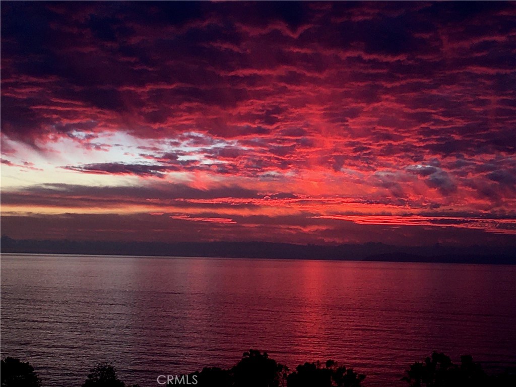 21702 Ocean Vista Drive F