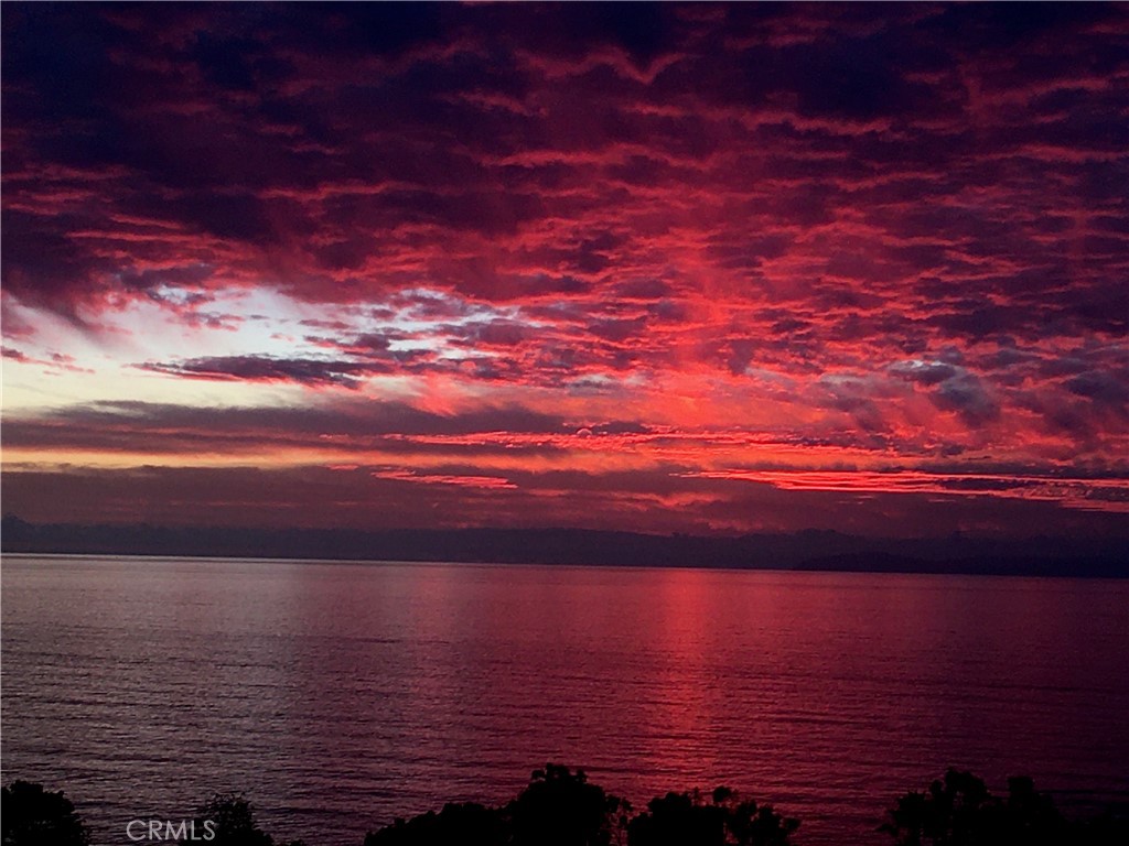 21702 Ocean Vista Drive F