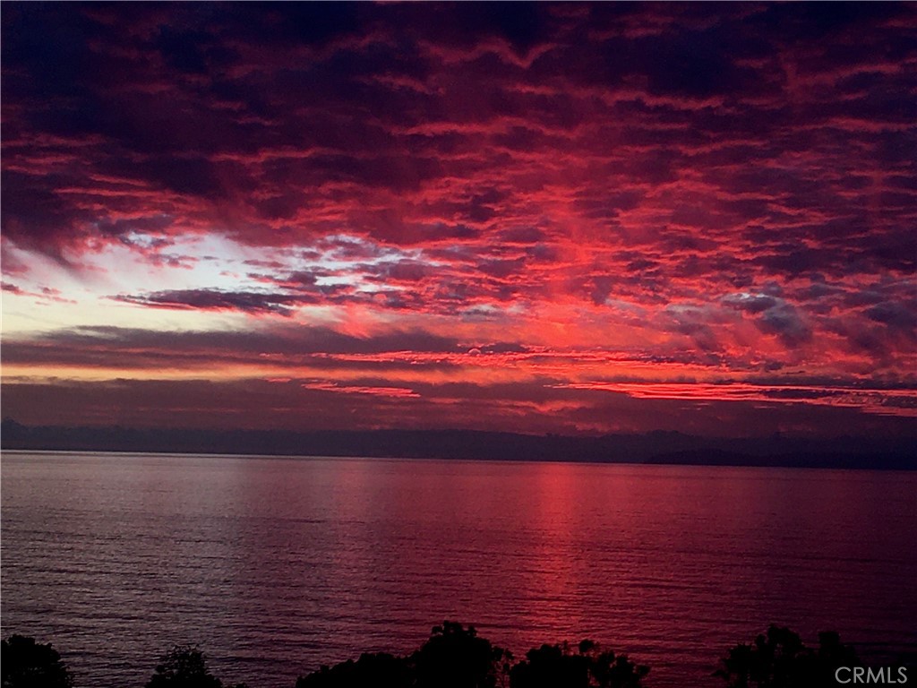 21702 Ocean Vista Drive F