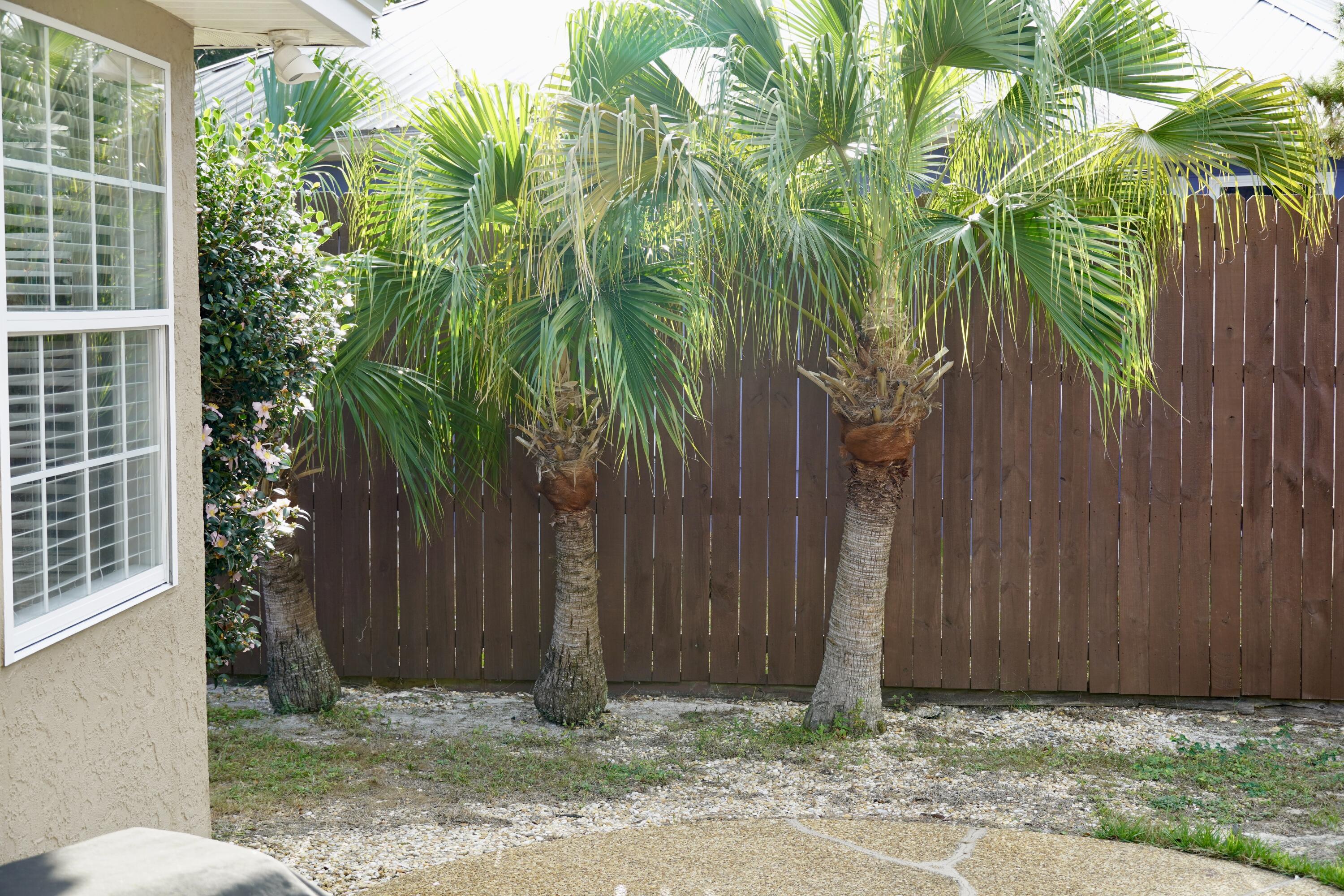 22112 Sunnyside Lane