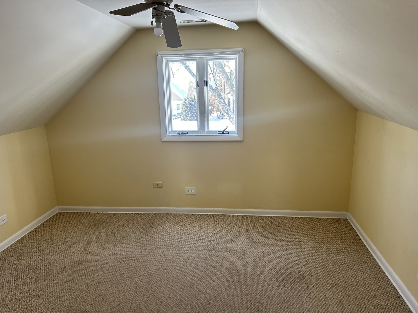 619 Phillippa Street