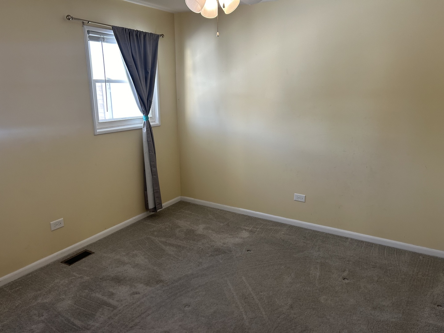 619 Phillippa Street