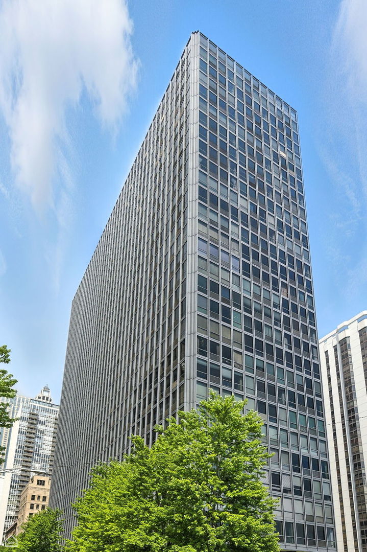 900 N Lake Shore Drive Unit: 410