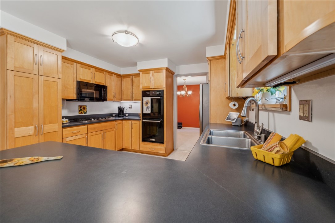 67 Hauck Dr
