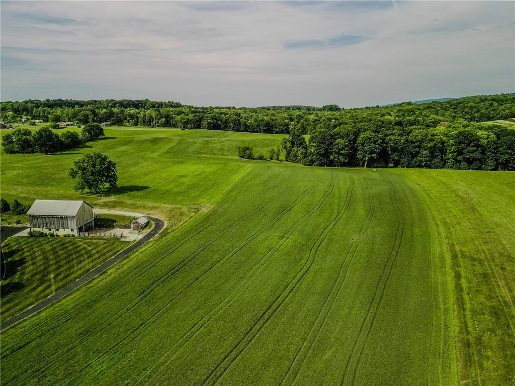 440 Owl Hollow Road