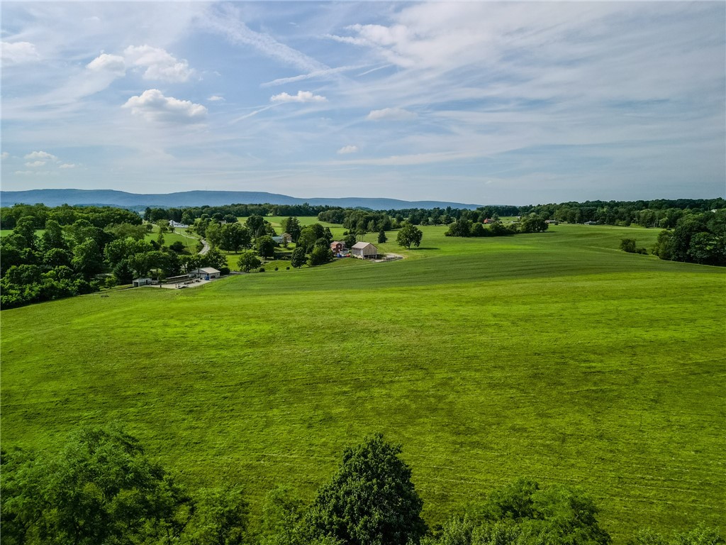 440 Owl Hollow Road