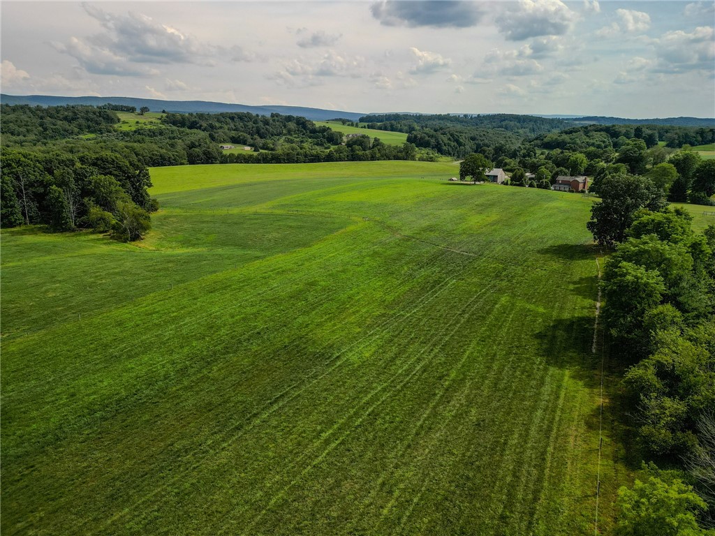 440 Owl Hollow Road