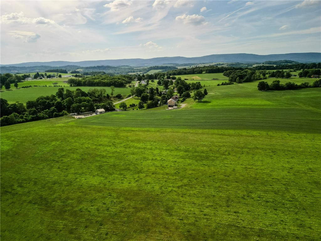 440 Owl Hollow Road