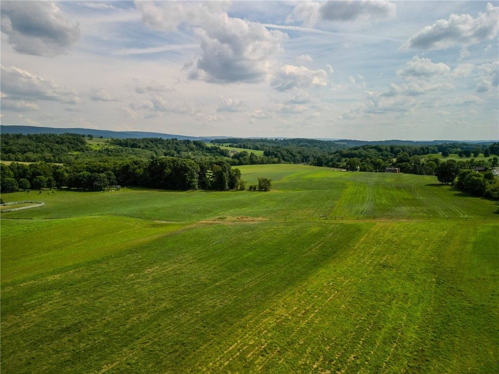 440 Owl Hollow Road