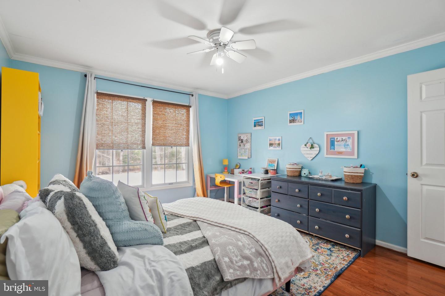 10604 Cannonview Ct