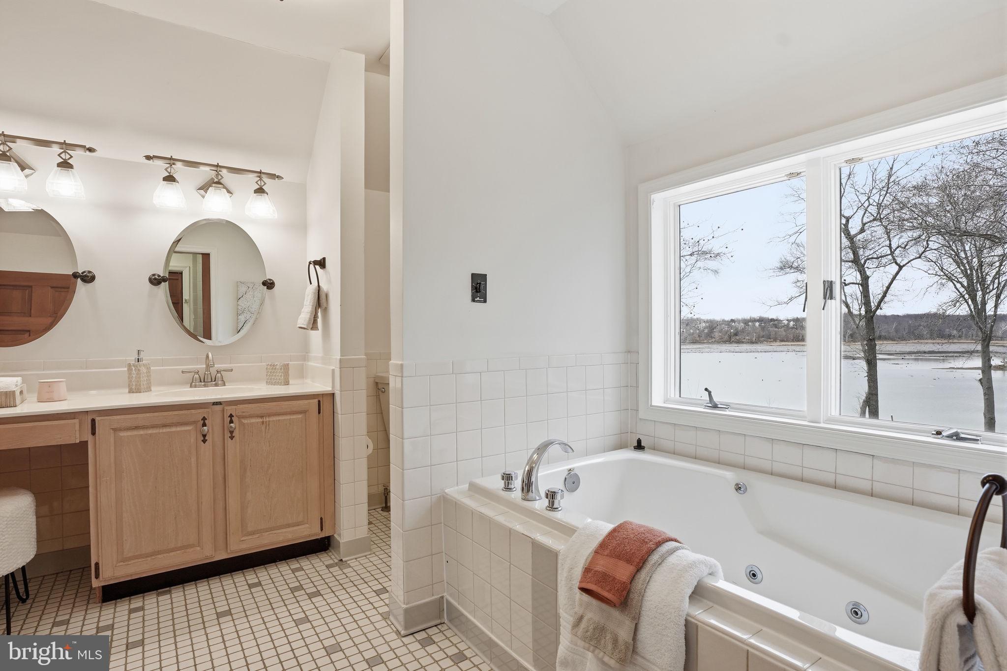 10602 CANNONVIEW COURT