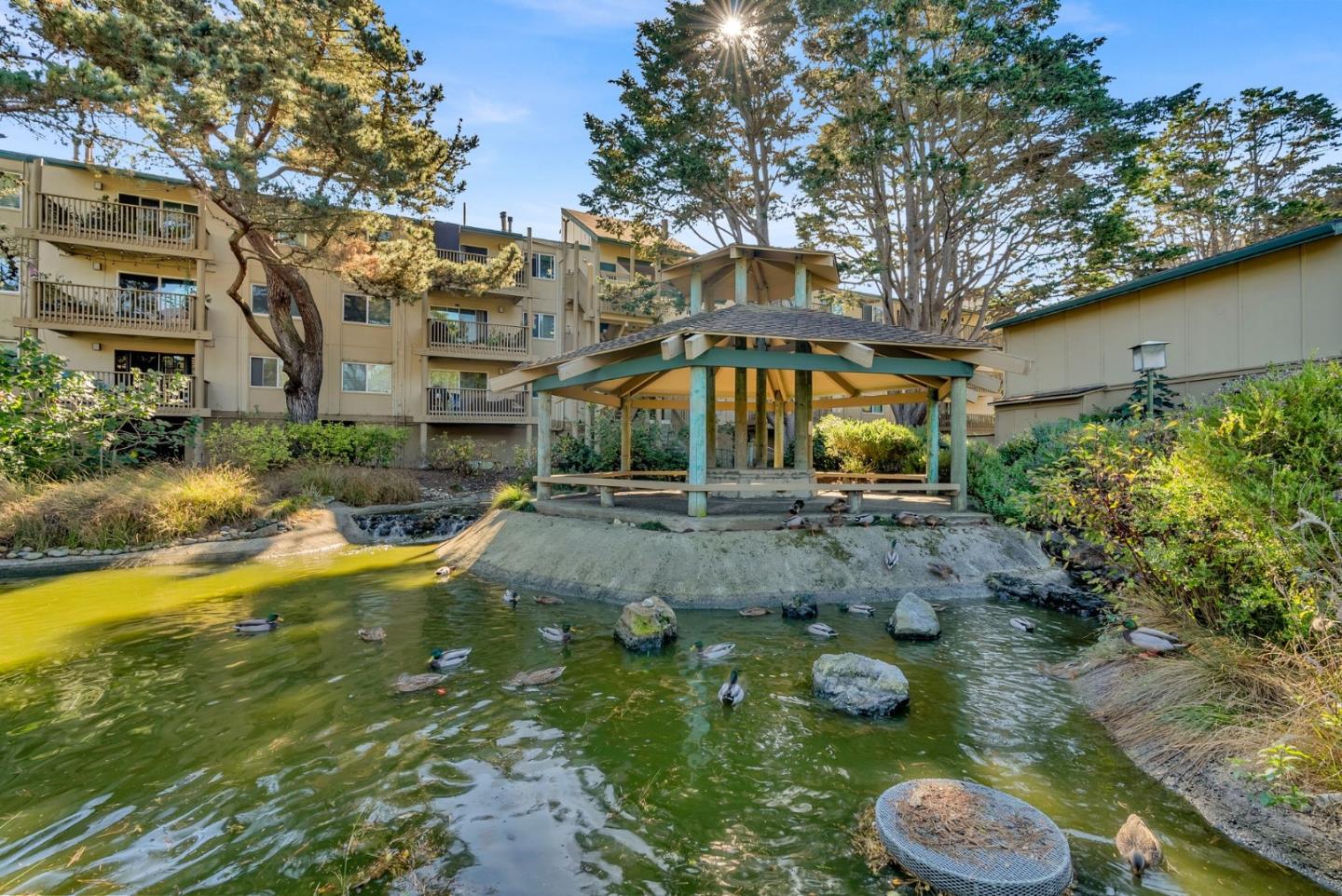 361 Half Moon LN 314