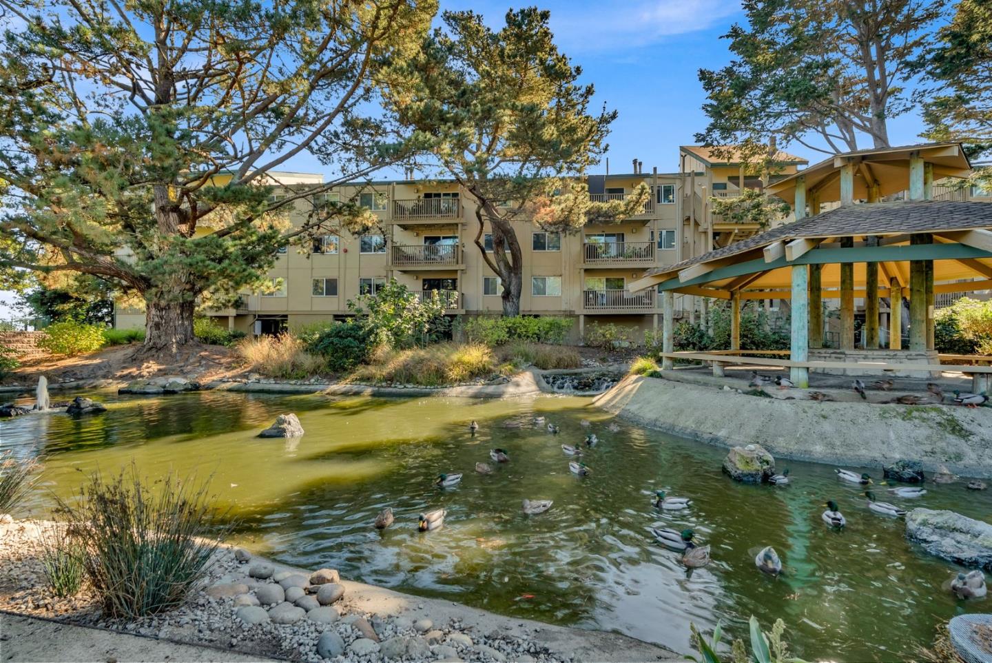 361 Half Moon LN 314