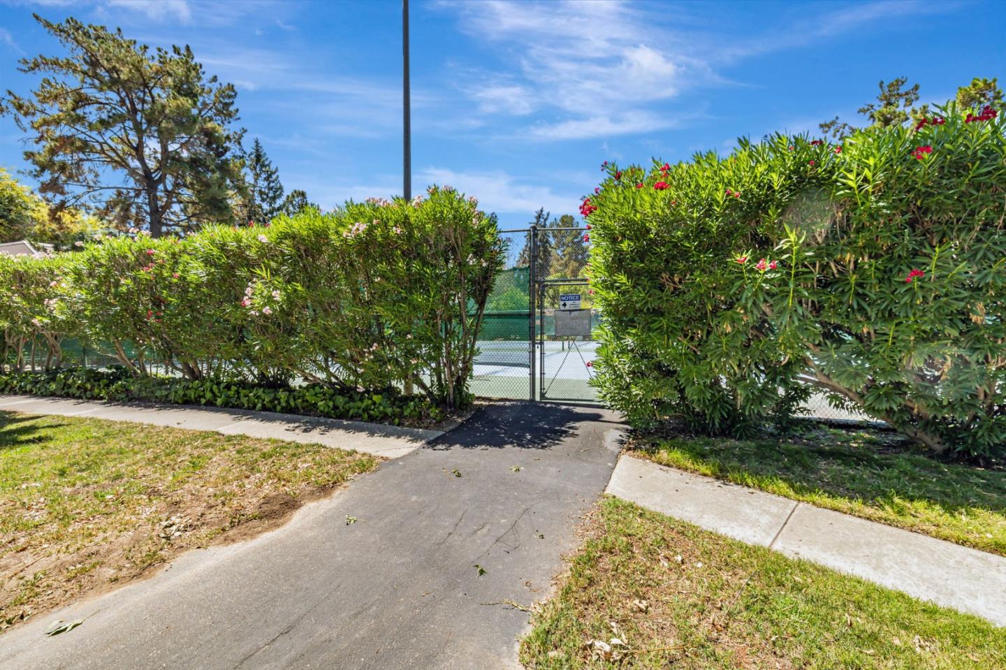 285 Tradewinds Drive 6