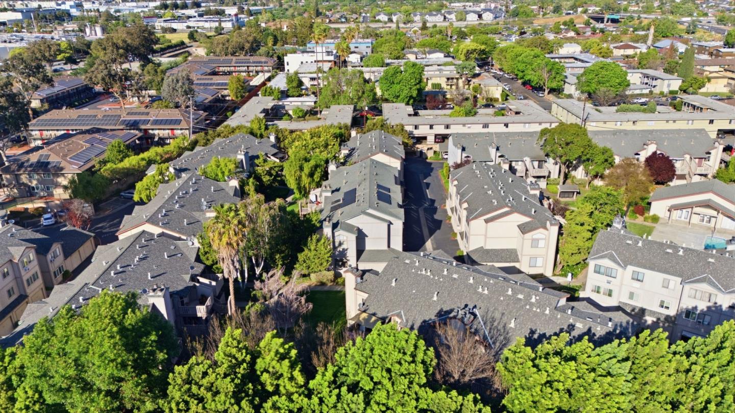 1264 Coyote Creek Place